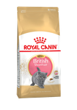 British Shorthair Kitten 0,4 кг