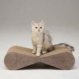 Когтеточка из картона с деревянным ободком Медиум, 54 х 14 х 22 см темный орех