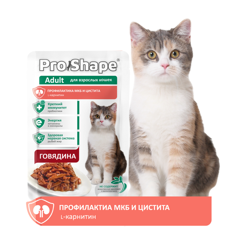 Корм консервированный д/взрослых кошек говядина в соусе для профилактики МКБ и цистита 75 гр