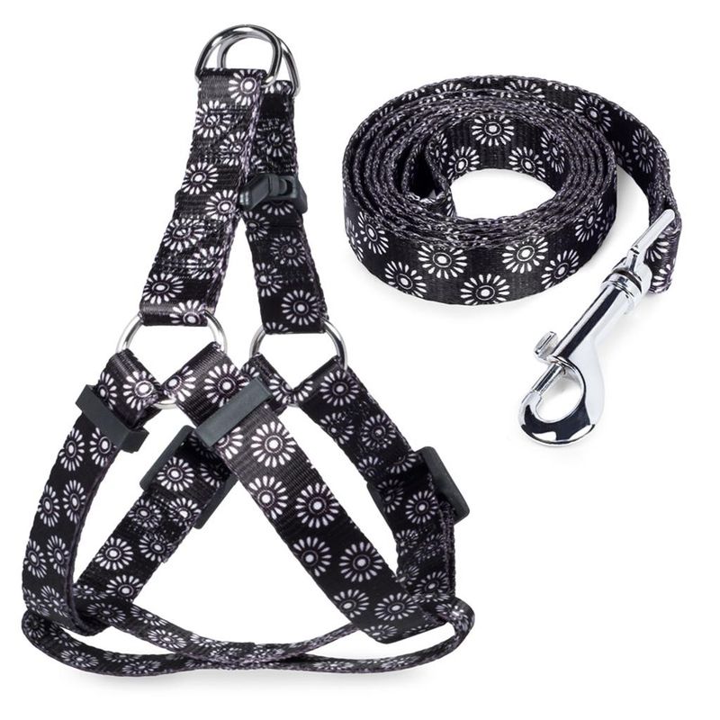 Комплект шлейка и поводок "Графит", нейлон XS