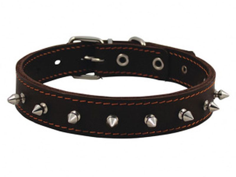 Classic 45 мм, обхват 57-66 см