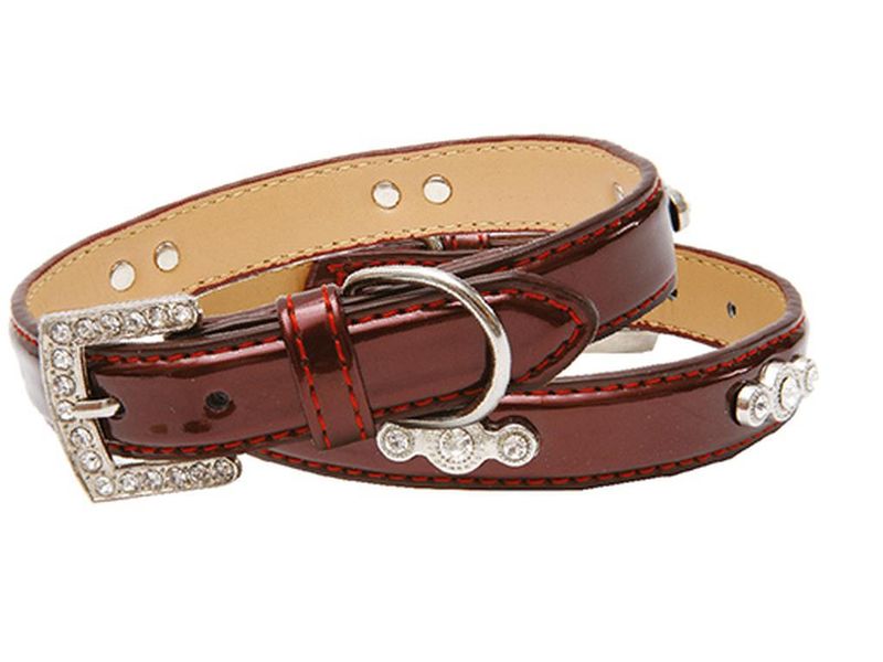 Ошейник "Колибри" лаковый с украшением со стразами, вишневый 15 мм х 35 см