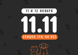 11.11 время шопинга!
