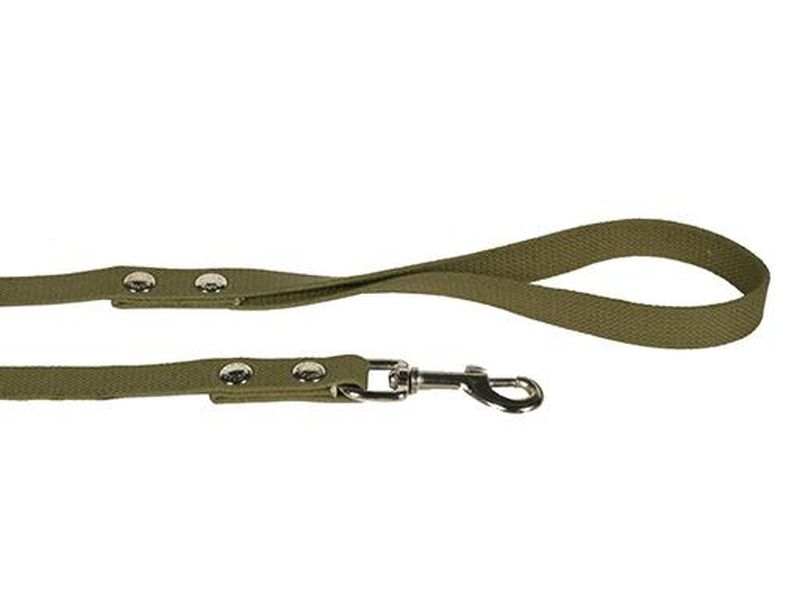 Поводок брезентовый со стальным карабином 25 мм, длина 5 м