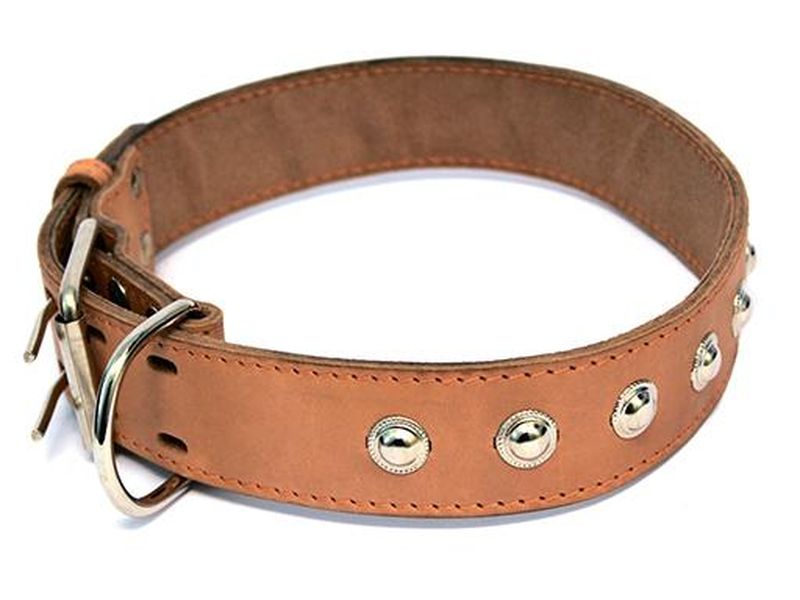 Ошейник кожаный двойной с украшениями, кольцо перед пряжкой 30 мм, обхват 44-53 см