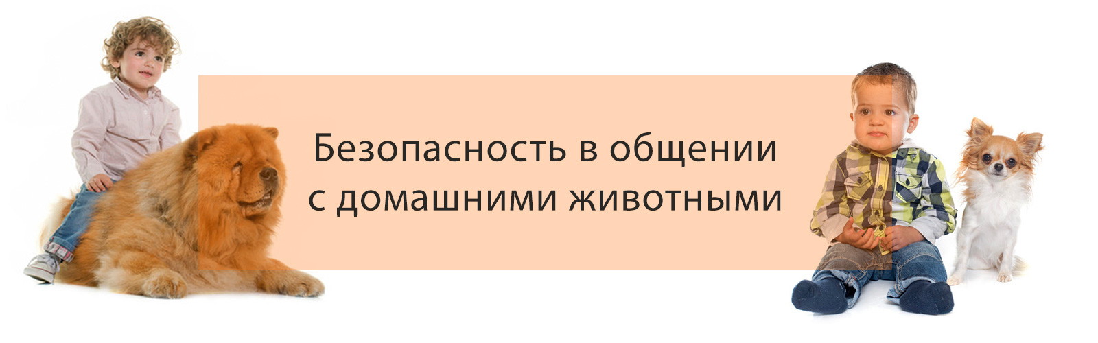 Безопасность в общении с домашними животными